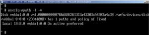 Running the esxcfg-mpath command