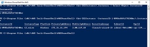 This is how you can retrieve additional information about an instance.
