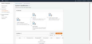 Choose the Custom Classification option.