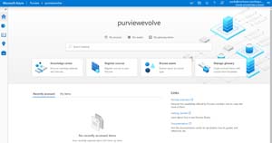 Main Azure Purview Portal