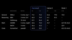 Gemma 2