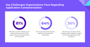 Key Challenges Orgs Face in App Containerization