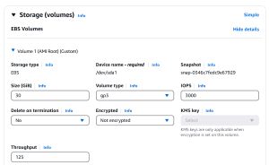 Figure 3: Set the Delete on Termination option to No.