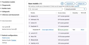Choosing DeepSeek-R1
