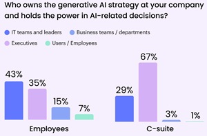 Who owns the generative AI strategy at your company and holds the power in AI-related decisions?