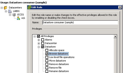 Configuring privileges via the datastore consumer role