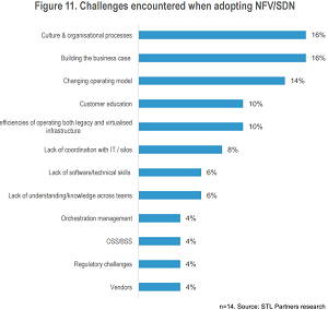Key Challenges in Adopting NFV/SDN