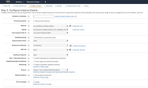 Figure 1: New EC2 instances are assigned a public IP address by default.