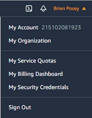 Click on the My Service Quotas option.