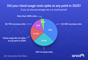 Did Your Cloud Usage Costs Spike at Any Point in 2020?