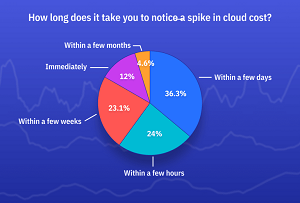 How Long Does It Take You to Notice a Spike in Cloud Cost?