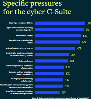 Specific pressures  for the cyber C-Suite