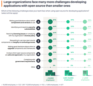 Challenges Faced by Larger Organizations