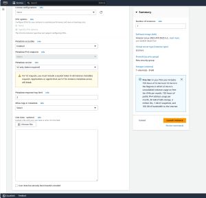 Figure 1: You can enter your script into the User Data section.