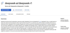 DeepSeek R1 on GCP