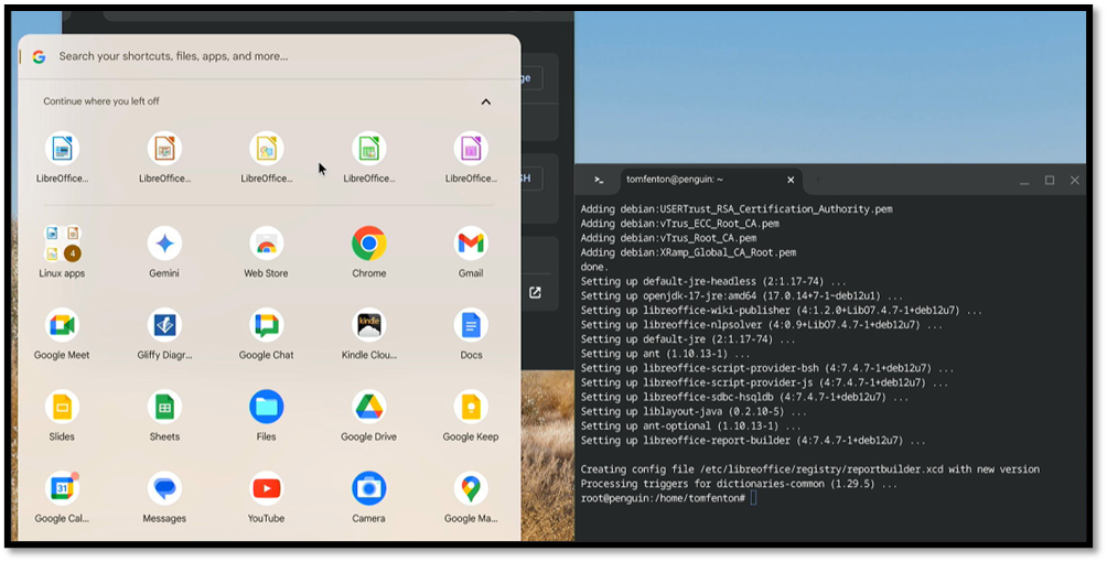 Windows 10 Resurrection with ChromeOS Flex: Linux Apps and Shared
