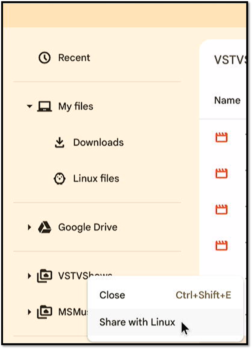 Windows 10 Resurrection with ChromeOS Flex: Linux Apps and Shared