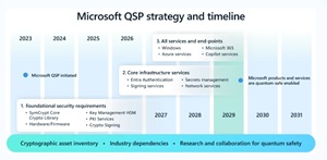 Microsoft QSP Strategy and Timeline