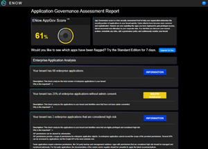 Application Governance Assessment Report.