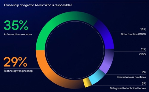 Ownership of Agentic AI Risk
