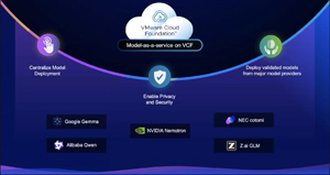 Model-as-a-service on VMware Cloud Foundation with centralized deployment, privacy and validated models