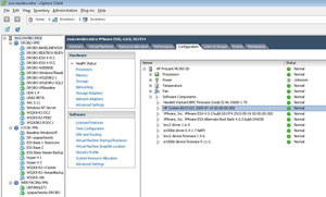 With ESXi, you can check your BIOS level without rebooting if you log directly into the host.