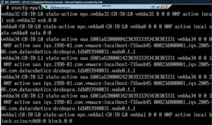 Results of running esxcfg -mpath -L